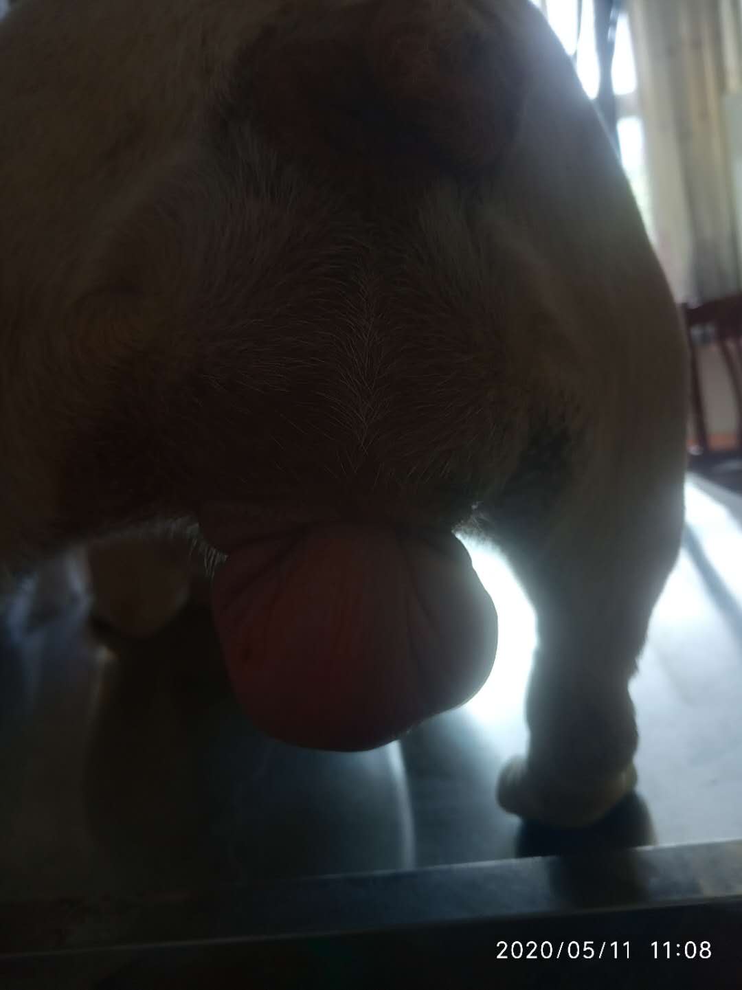 ***脫出恢復(fù)