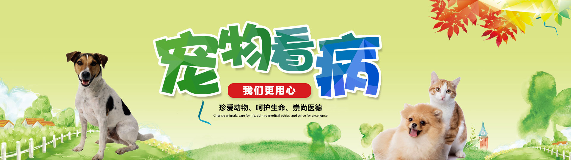 洛陽(yáng)市洛龍區(qū)澳科動(dòng)物醫(yī)院