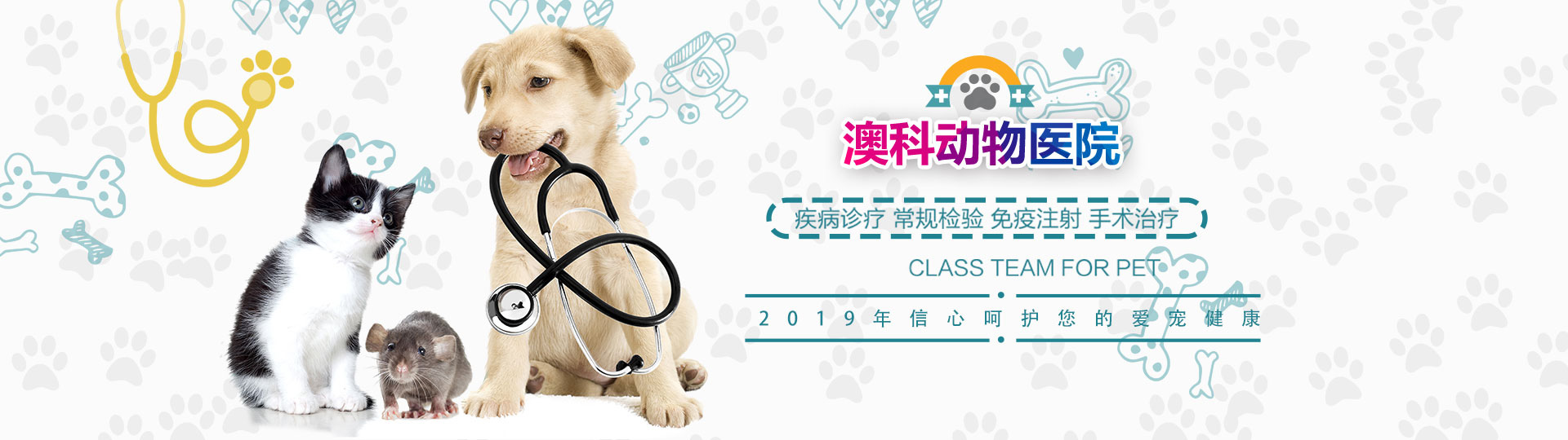 洛陽(yáng)市洛龍區(qū)澳科動(dòng)物醫(yī)院