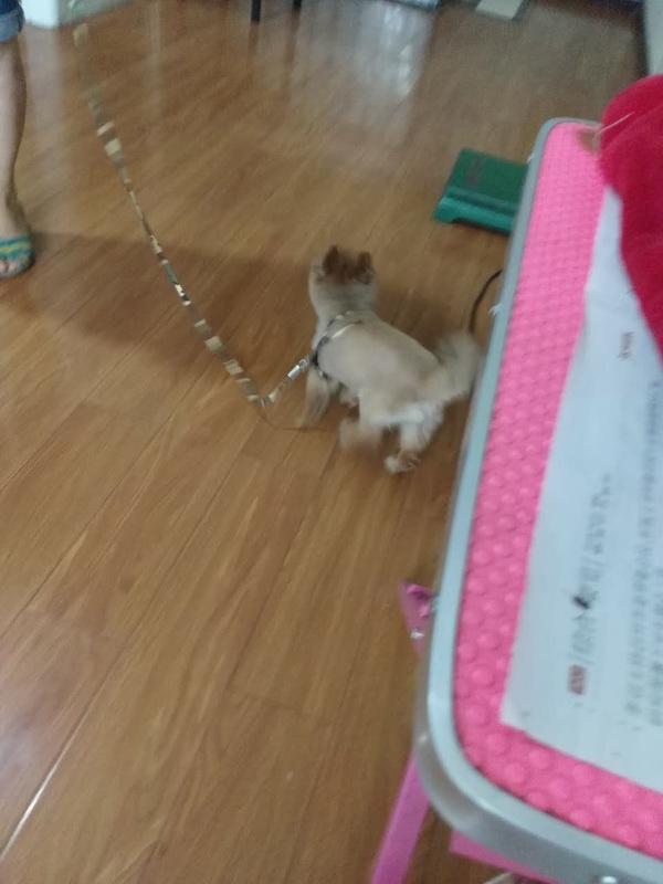 多發(fā)性神經(jīng)炎