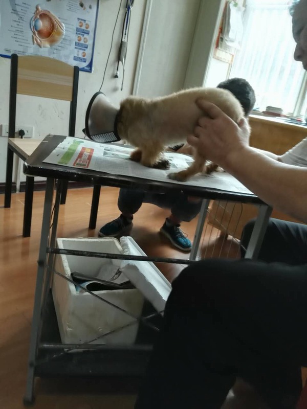 多發(fā)性神經(jīng)炎