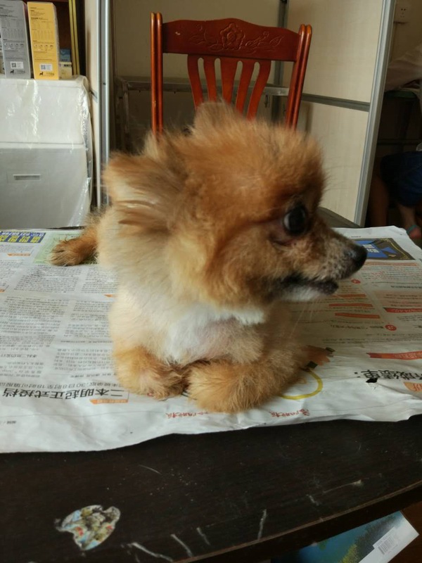 多發(fā)性神經(jīng)炎