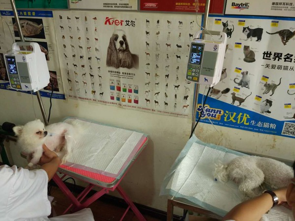 輸液泵準(zhǔn)確控制輸液